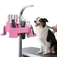 Table de toilettage pour animaux en plastique, station de toilettage, support de suspension pour tiges, boîte de rangement pour outils, multifonctionnelle, pratique, ciseaux, peigne