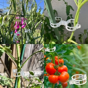 Nhựa Bền Màu Xanh Lá Cây Nhà Cà Chua Clip Chất Lượng Cao Móc Cho Cà Chua Phát triển Bảo Vệ - Product Image 6