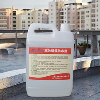 Spray de revêtement imperméable en caoutchouc de silicone liquide d'arrêt d'eau nano clair pour l'application de bâtiment