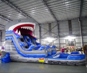 Precio de fábrica tiburón diapositiva con piscina - Product Image 2