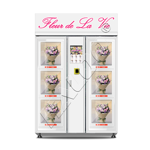 Distributeur automatique de fleurs Haloo, 6 casiers, écran tactile 21,5 pouces, SDK personnalisé, couleur personnalisée, paiement par code QR - Product Image 1