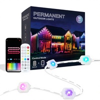 Lampu LED Permanen Luar Ruangan RGB untuk Dekorasi Garis Atap Rumah