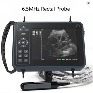 Scanner à ultrasons vétérinaire portable Vet B-Ultra Machine de grossesse portable (B, BB, 4B, B + M, M) pour porc mouton bétail cheval chien - Product Image 2