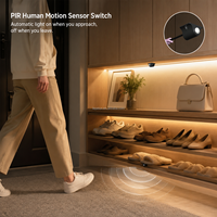 Interrupteur à détecteur de mouvement PIR pour armoire, contrôle centralisé filaire, éclairage LED 12V 24V, garantie 3 ans FREE-38B-23