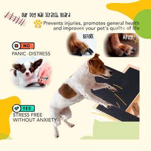 Scratch per cani e gatti antigraffio per unghie per cani con trattamento - Product Image 2