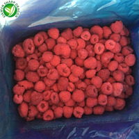 Frambuesas Congeladas XMSD LQF con Empaque a Granel, Soluciones OEM y de Marca Privada para Importadores y Marcas de Alimentos