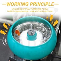 Machine à polir vibrante de 17 pouces pour le jade, le métal, le nettoyage des bords et des surfaces, 2800 tr/min, polisseuse vibrante de 12 L pour bijoux