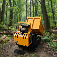 Mini Dumper Cingolato da 1,5 Tonnellate Disponibile in Magazzino
