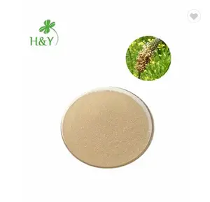 Plantago Ovata powder psyllium seed husk powder psyllium husk powder