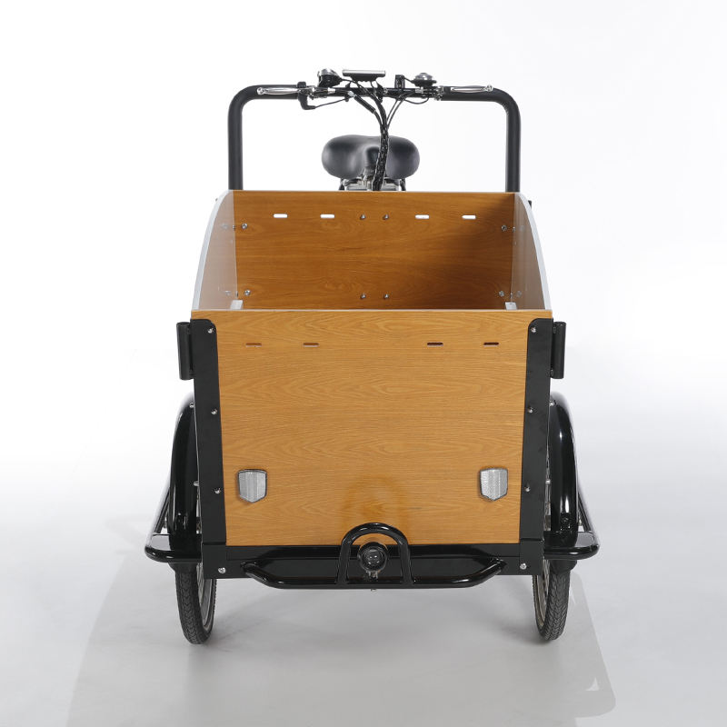 レトロ電気三輪車ファミリーカーゴバイク3輪電動自転車モバイル