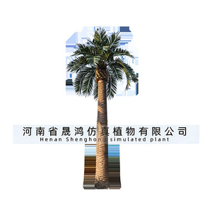 Palmera Artificial de Coco de Gran Tamaño y Alta Simulación para Decoración Exterior, Modelo Rey de las Palmas de Shenghong Landscape - Product Image 2