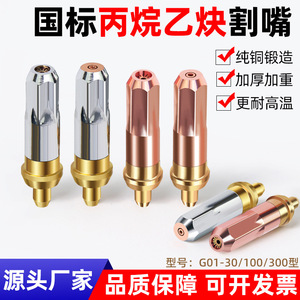 G01-30/100 Torch Nozzle Acetylene Propane Gas Cutting Jet Suction Type High Accuracy - Product Image 4