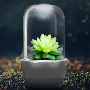 Decoratieve Plant Pot Kleine Mini Tuinieren Indoor Hydrocultuur Tuin Diy Smart Mini Pot Plant Natuurlijke Succulent Pot Kruid Kit