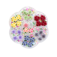 Kit de Breloques 3D Colorées Mignonnes Kawaii pour Ongles, Camélia en Résine, Pierres Précieuses Acryliques, Strass, Fournitures en Plastique pour Nail Art DIY, Cadeau