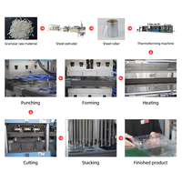Machine de thermoformage automatique à grande vitesse pour emballages de fruits en PET/rPET et contenants jetables en PS/PP
