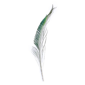 Lunghezza 30-35 cm <span class=keywords><strong>piume</strong></span> di <span class=keywords><strong>pavone</strong></span> naturale <span class=keywords><strong>piume</strong></span> verdi spada per l'organizzazione di fiori accessorio fai da te decorazione della casa articoli d'arte - Product Image 5