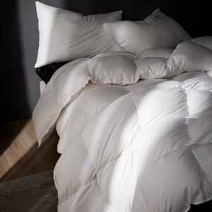 Lông cao cấp xuống <span class=keywords><strong>Comforter</strong></span> tất cả các mùa trung bình ấm áp trắng 100% bông Bìa xuống bằng chứng Duvet chèn với góc Tab - Product Image 3