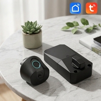 Serrure de porte intelligente Tuya, clavier à empreintes digitales, entrée sans clé, serrure numérique électronique, serrure de porte d'appartement