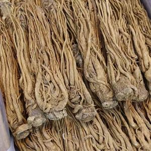 Хорошая цена, стандартная цена, корень Ангелика, все растение, экспорт, сушеный корень дягеля, корень Ангелика, Gigas - Product Image 1