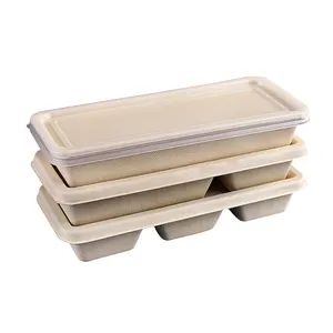 Eco friendly rectangular takeaway food packing box biodegradable