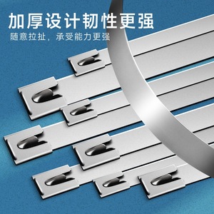 Attaches-câbles en acier inoxydable 304 Easy Buckle, 4,6 mm x 300 mm, auto-bloquantes, pour fixation de tuyaux - Product Image 4