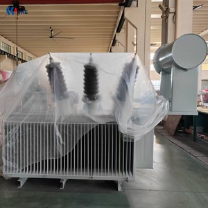 250kva 300kva 11/0.415kv dầu đắm mình ba giai đoạn phân phối biến áp - Product Image 2