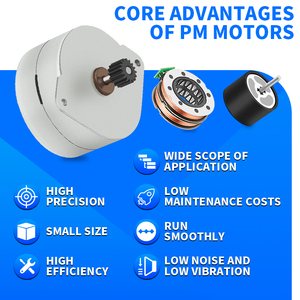 Rb 42pmgh22001 10 Wát vĩnh viễn Máy phát điện từ với động cơ trên 48V PMS điều khiển động cơ với N0.2 <span class=keywords><strong>DC</strong></span> động cơ bánh răng - Product Image 3