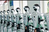 Plataforma de Entrenamiento de Robots Humanoides con Ruedas YL-R1B para Formación Profesional