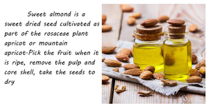 プロ用マッサージエッセンシャルオイル100% 純粋な冷たいプレス甘いアーモンドプレミアム種 - Product Image 6