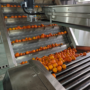 Ligne de production de <span class=keywords><strong>jus</strong></span> <span class=keywords><strong>d</strong></span>'<span class=keywords><strong>orange</strong></span> entièrement automatique industrielle personnalisée en usine, à vendre - Product Image 1