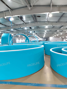<span class=keywords><strong>Piscine</strong></span> gonflable PROELIFE 5*1.5m, écologique, pour usage domestique et extérieur, pliable, mobile, PVC brossé de 15 cm d'épaisseur, adaptée aux enfants - Product Image 2