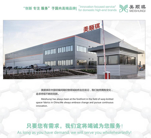 Tela <span class=keywords><strong>de</strong></span> malla tipo sándwich a la moda, fabricante <span class=keywords><strong>de</strong></span> fundas <span class=keywords><strong>de</strong></span> asiento multicolor, hometextile, 100% poliéster - Product Image 6