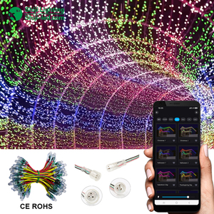50個入り <span class=keywords><strong>PVC</strong></span>製 ランドスケープRGB LEDピクセルライトモジュール 12mm DC5V IP68防水 クリスマスライト 1903 ICデジタルLEDストリング - Product Image 1