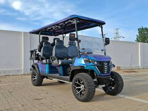 300cc xăng xe Golf Golf <span class=keywords><strong>Buggy</strong></span> 4 6 chỗ ngồi cao cấp xuyên quốc gia tùy chỉnh off-road săn bắn xe scooter - Product Image 6