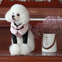 Écharpe pour chien en fourrure de lapin en polyester doux personnalisée - Design amusant pour toutes les saisons