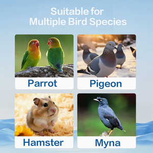 Suplemento Nutricional Multidimensional <span class=keywords><strong>para</strong></span> Mascotas Pequeñas, Electrolisis de Loros, <span class=keywords><strong>para</strong></span> <span class=keywords><strong>Aves</strong></span> y Hámsteres - Product Image 5