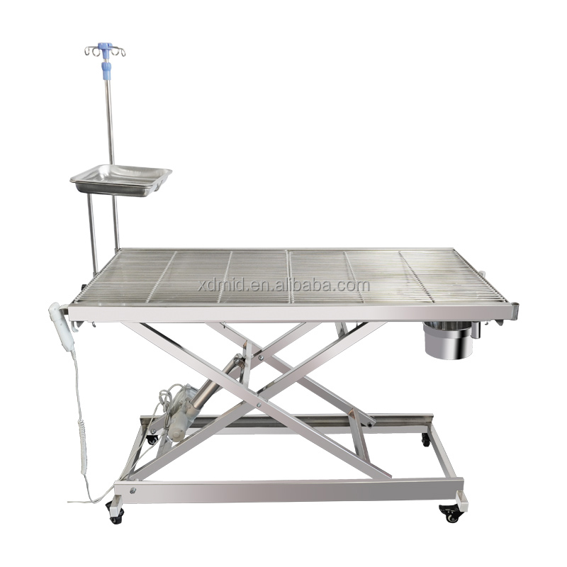 Electric Dental LED Shadowless Examination Lamp