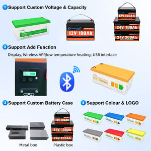 Hot Sales 24V Energy Storage Battery 12V 48V 51.2v 50Ah 100Ah 200Ah 300Ah 400Ah Lithium Iron LifePo4 Battery With BMS - Product Image 4