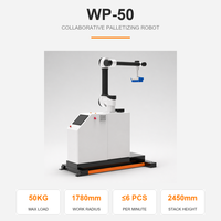 Robot de palettisation automatique WP-50, cobot, palettiseur collaboratif, 3,5 kW, IP54, machine de superposition de sacs et de boîtes lourds pour entrepôt