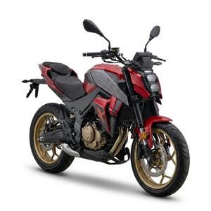 NEWBOT <span class=keywords><strong>Moto</strong></span> <span class=keywords><strong>de</strong></span> <span class=keywords><strong>course</strong></span> puissante 300cc pour adultes, 18,5 kW, haute performance, 125 km/h, FE-300 Factory - Product Image 5