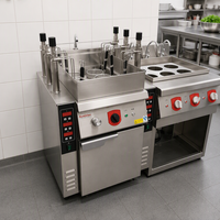 Fabricant de cuisinières à nouilles électriques en gros RKMF-PS166, cuisinière à nouilles durable en acier inoxydable