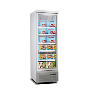 Refrigerador de helado comercial Refrigerador de puerta de vidrio plano Venta al por mayor <span class=keywords><strong>Freezar</strong></span> para equipo de supermercado - Product Image 1