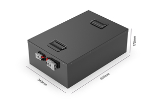 Batterie de véhicule 48V 25AH 50AH 75AH 100AH pour tricycle, rickshaw, tuk-tuk, batterie lithium-ion 1000W 2000W 3000W 5000W LFP4850 V - Product Image 5