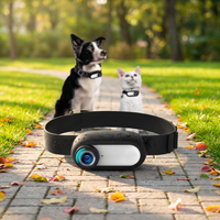 Caméra vidéo d'action transfrontalière, produits pour animaux de compagnie très demandés, collier pour chat et chien, laisse à dégagement rapide, mini caméra corporelle pour sports de plein air