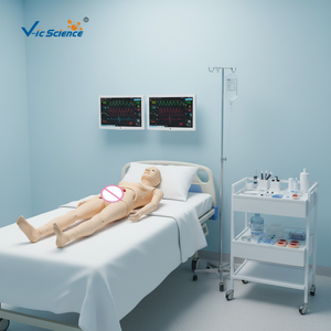 Maniquí de Cuidado de Enfermería, Modelo de Entrenamiento de Habilidades Médicas, Cuidador Geriátrico Senior Totalmente Funcional (masculino), Simulador de Enfermería - Product Image 3