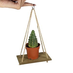 Decoración de Pared, Estantes <span class=keywords><strong>Colgantes</strong></span> de Madera <span class=keywords><strong>con</strong></span> Gancho, Soporte para Macetas Pequeñas - Product Image 1