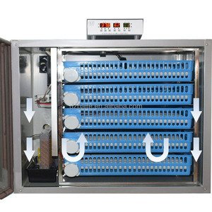 300 trứng cao Nở trứng lồng ấp trứng gà lồng ấp và ấp để bán - Product Image 3