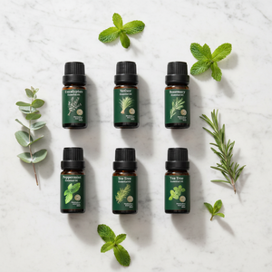 Individuelles Etikett Reines Natürliches Kaltgepresstes Teebaumöl Eukalyptus Lavendel Ätherisches Öl Aromatherapie Damen Körpermassage Spa-Set - Product Image 3