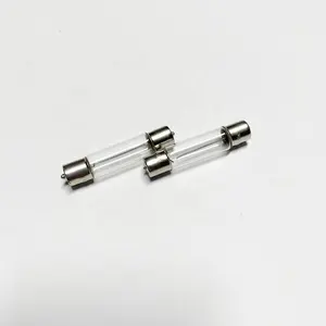 Wholesale Fuse 24V50W Littelfuse Slow Blow 44*10mm Glass Fuse Tube For Speaker Crossover