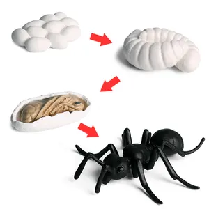 Morefun Mainan Hewan Plastik Model Serangga Simulasi PVC Padat Alat Mengajar Ant Mainan Siklus Hidup